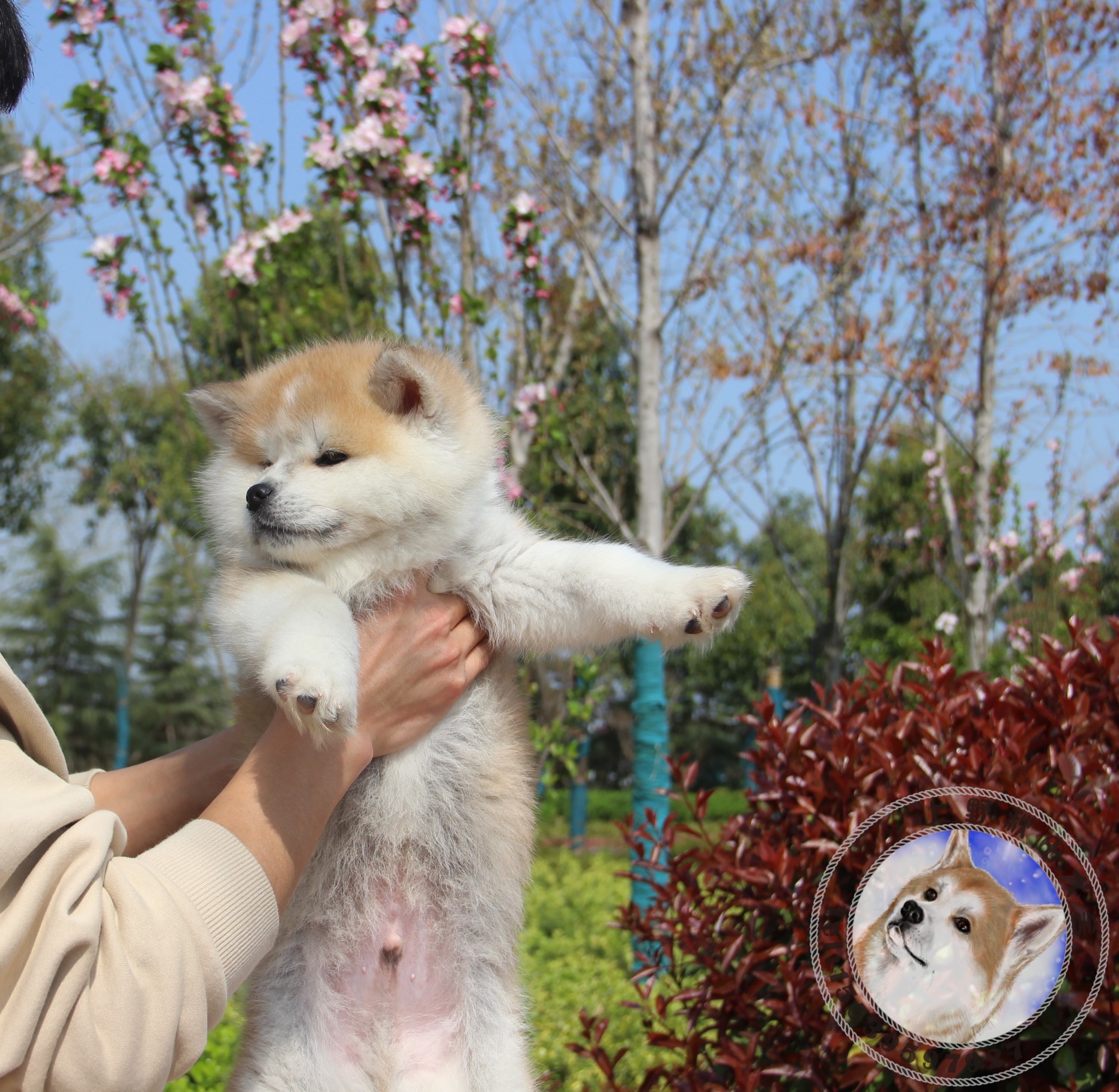 微信图片_20200404165316.jpg